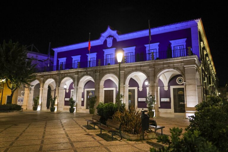 Dia Internacional da Síndrome de Angelman - Light it Blue