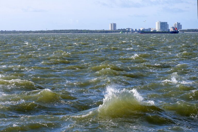 Adaptações climáticas