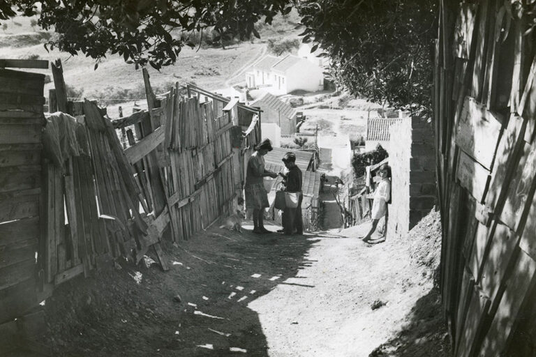 50 Anos 50 Fotografias