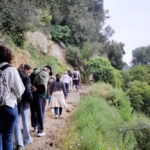 Festa de Caminhadas na Arrábida | Caminhar e Meditar na Quinta de São Paulo