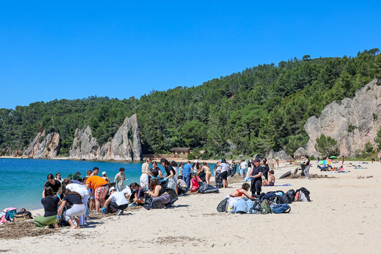 Limpeza da Praia de Albarquel