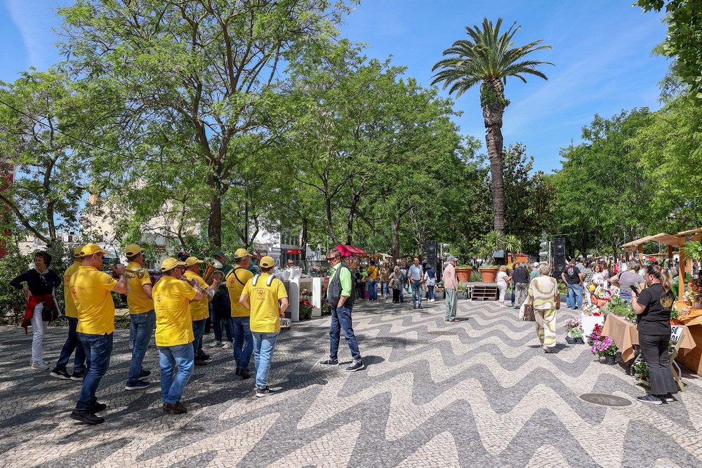 Festa da Flor 2025 - Inauguração