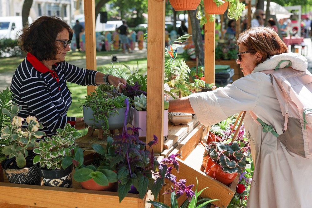 Festa da Flor 2025 - Inauguração
