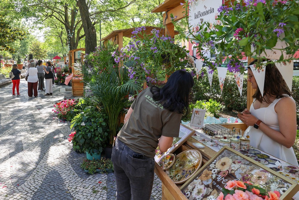 Festa da Flor 2025 - Inauguração