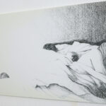 Luiz Pacheco 100 - Comunidade - exposição de Teresa Dias Coelho