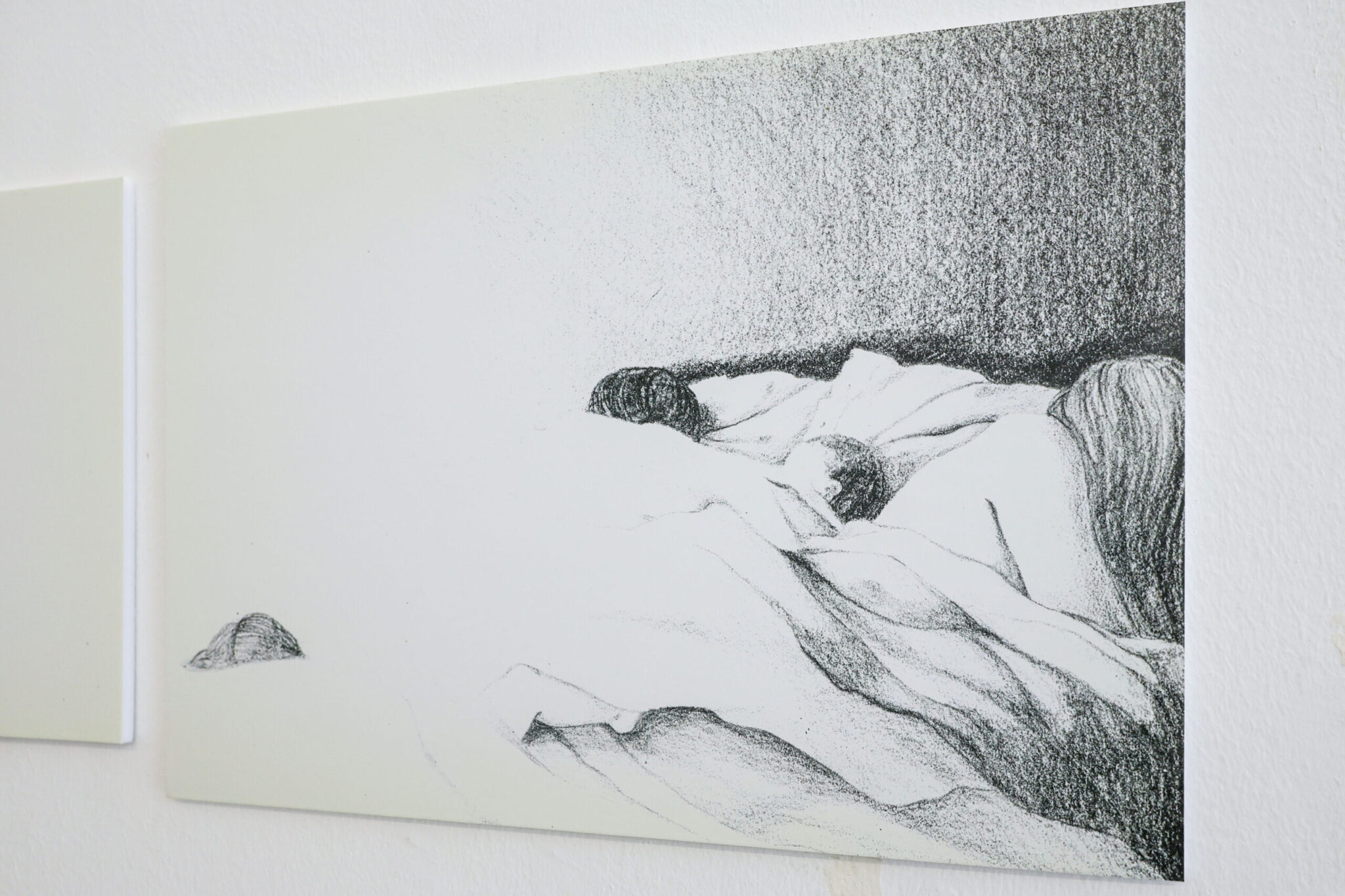 Luiz Pacheco 100 - Comunidade - exposição de Teresa Dias Coelho