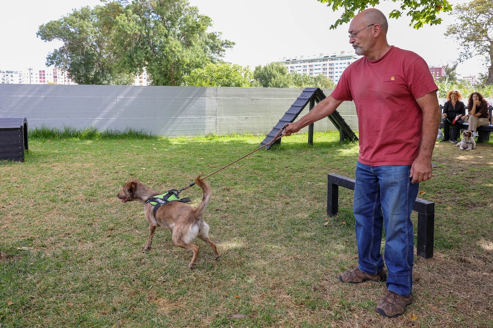 Inauguração Parque Canino no Jardim Algodeia