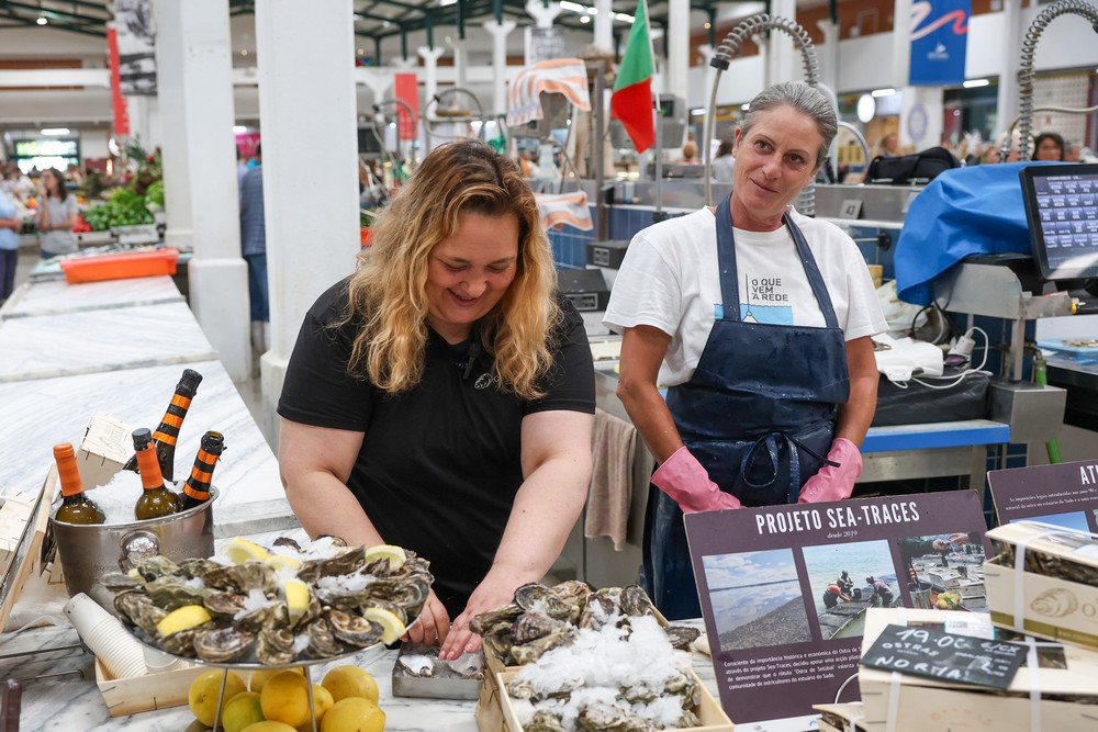 Viagem pelo Clima - visita a negócios sustentáveis