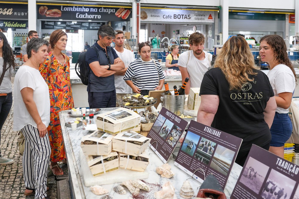 Viagem pelo Clima - visita a negócios sustentáveis