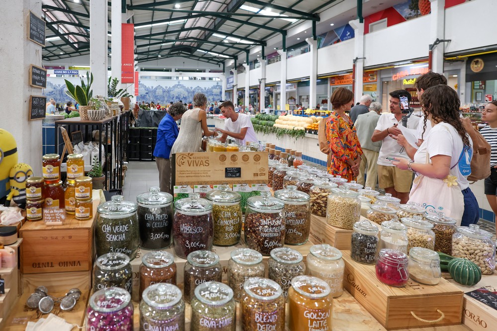 Viagem pelo Clima - visita a negócios sustentáveis