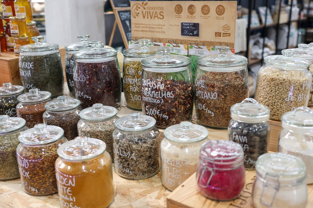 Viagem pelo Clima - visita a negócios sustentáveis