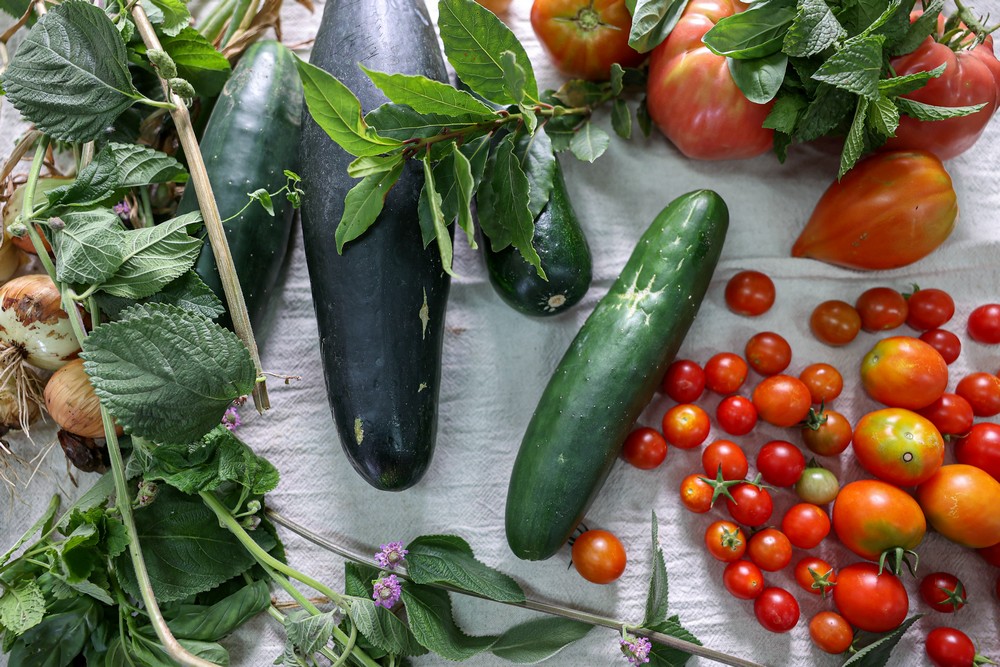 Workshop de alimentação saudável conduzido pela chef Maria das Ervas