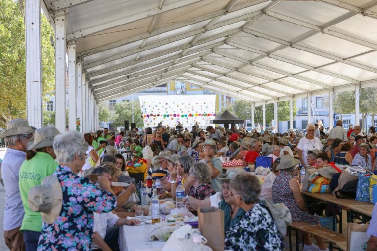 O Piquenicão Concelhio registou 880 inscrições, tendo ainda contado com a presença de uma centena de trabalhadores das juntas de freguesia e voluntários de várias instituições