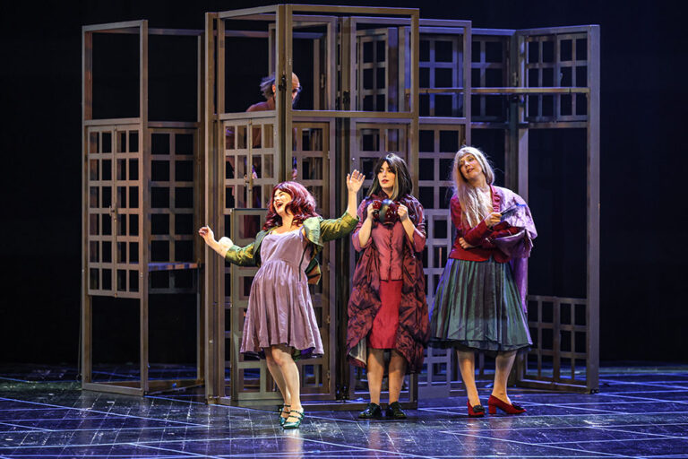 "Agustinópolis” é inspirado em excertos de diversos livros da escritora, numa fusão entre ópera e teatro