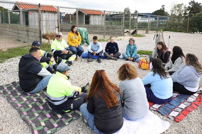 “Comportamento & Bem-Estar Animal” dá tema à ação formativa incluída no Plano de Formação 2025|2026