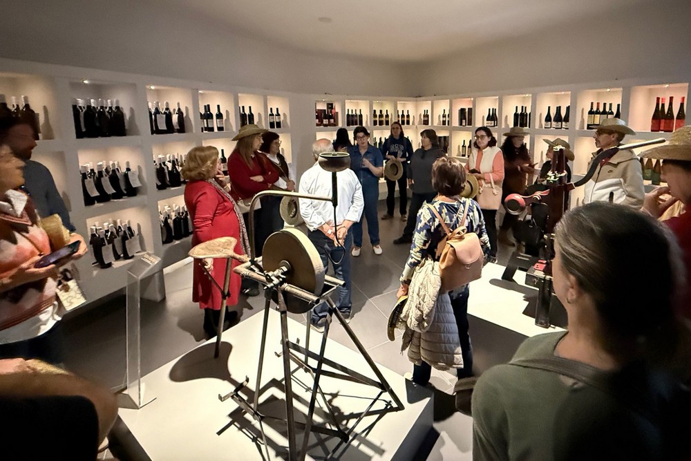 Sessão do ciclo Moinho ConVida