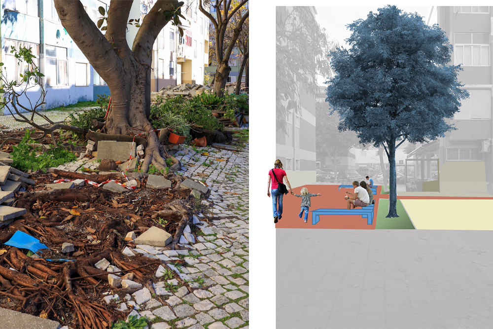 A renovação de pavimentos, a criação de um conjunto arbóreo mais equilibrado e a reorganização do estacionamento são intervenções a realizar nas traseiras da Rua de Vanicelos e na Praceta das Amoreiras