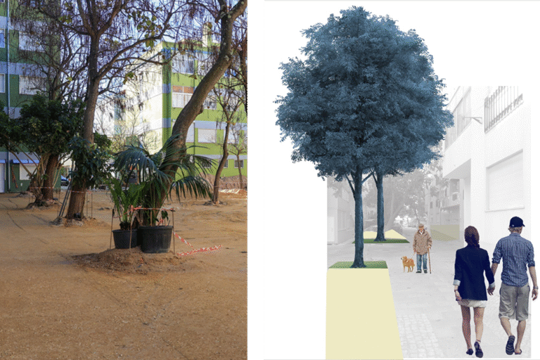 A renovação de um espaço público na zona de Vanicelos torna necessária a retirada de árvores que se encontram em situação precária e instável e que serão substituídas por espécimes novos