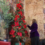 Biblioteca Municipal