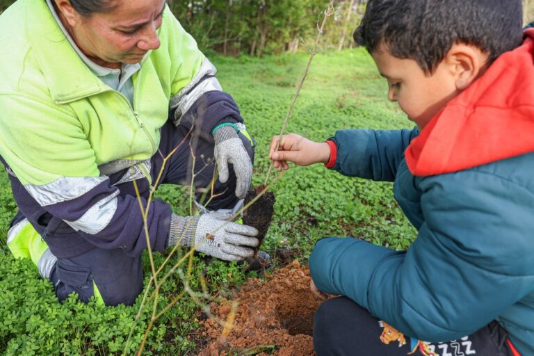 Foram colocadas no terreno várias espécies, entre as quais alfarrobeiras e outros arbustos característicos da flora regional