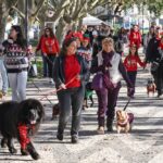 Caminhada lúdica “Cãortejo de Natal”