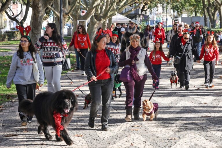 Caminhada lúdica “Cãortejo de Natal”
