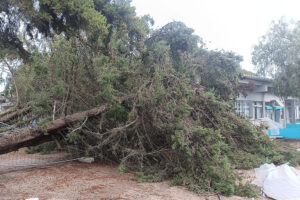 Escola Básica Barbosa du Bocage