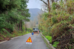 Estrada dos Picheleiros