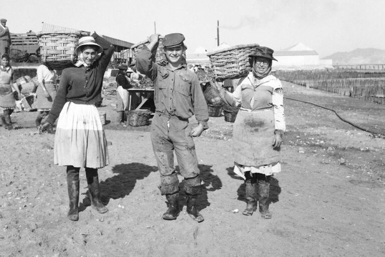 Fotografia, com o código de referência PT/AMSTB/AFBT/01/053, que integra a Coleção Baptista sob o tema “Ostras”, publicada no sítio oficial do Arquivo Municipal de Setúbal na Internet
