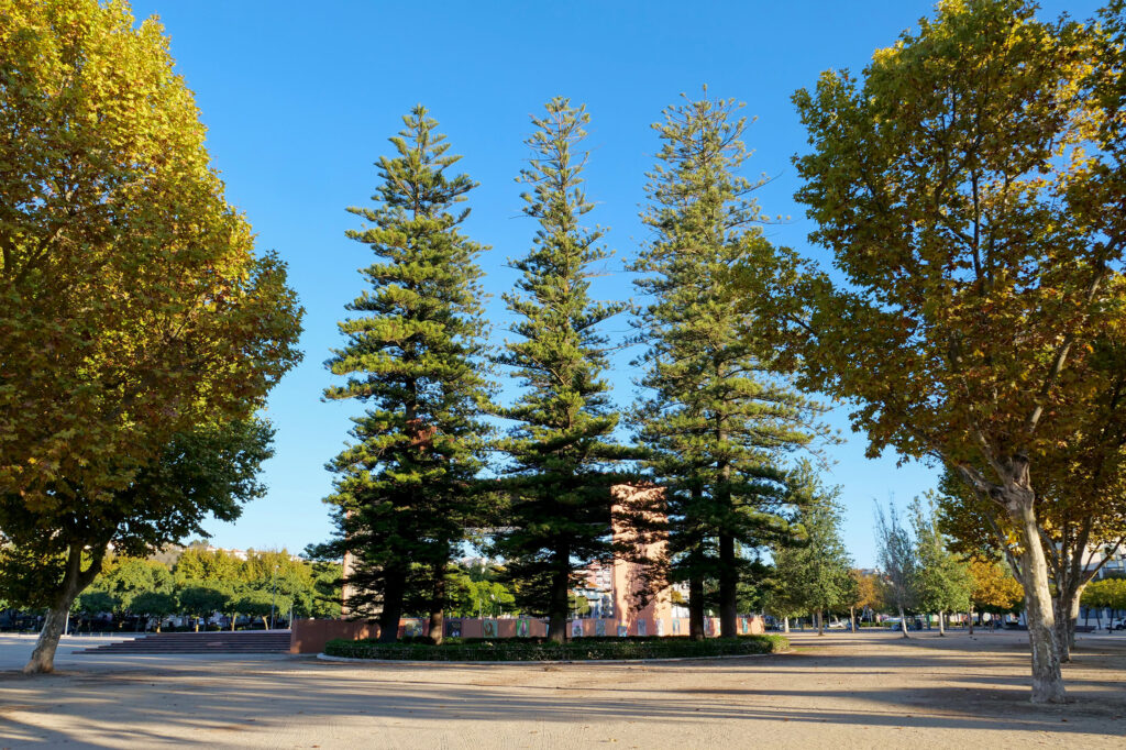 Fonte_Largo_José_Afonso_2021_07