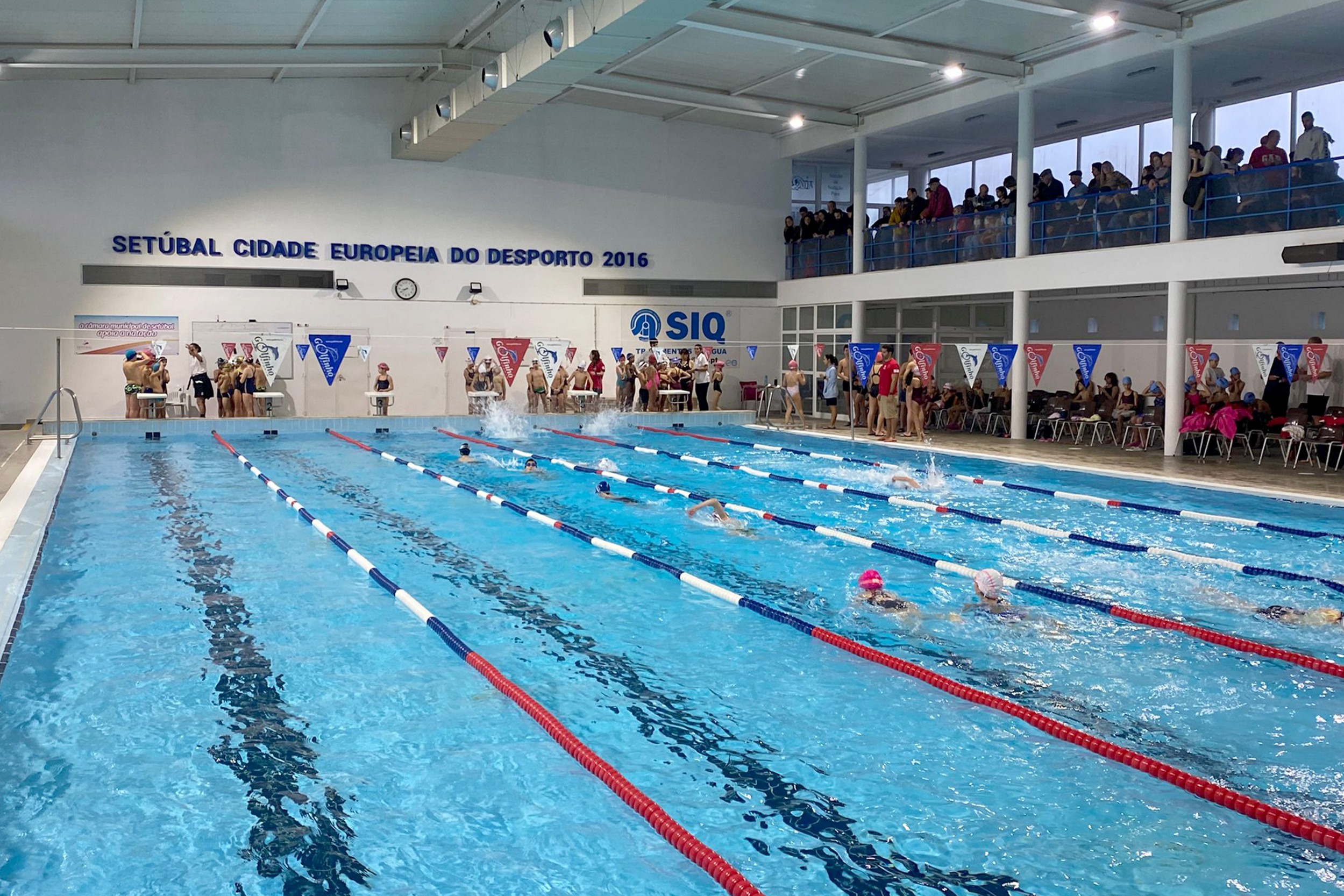 I Encontro de Escolas de Natação juntou 143 atletas não federados num ambiente de convívio e partilha