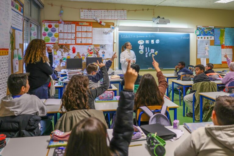 A atividade registou forte adesão e envolvimento por parte de alunos e professores