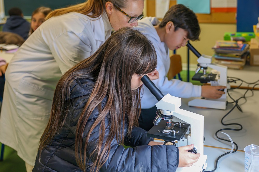 Durante as sessões, foram abordados temas como bactérias, segurança alimentar e métodos de identificação de microrganismos em laboratório