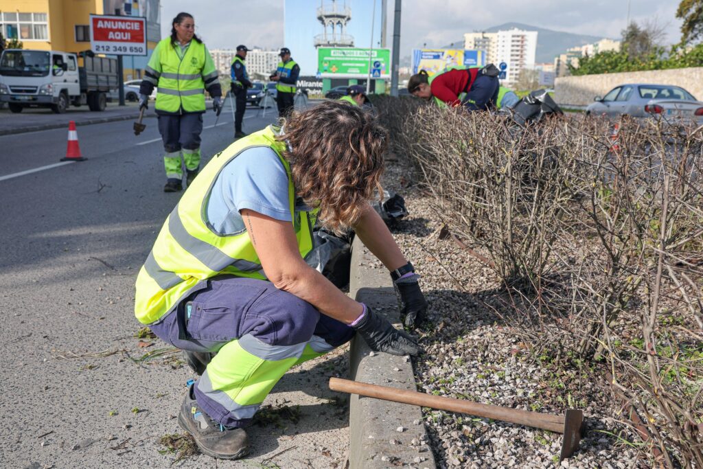 Poda de arbustos e monda de infestantes na Avenida Antero de Quental
