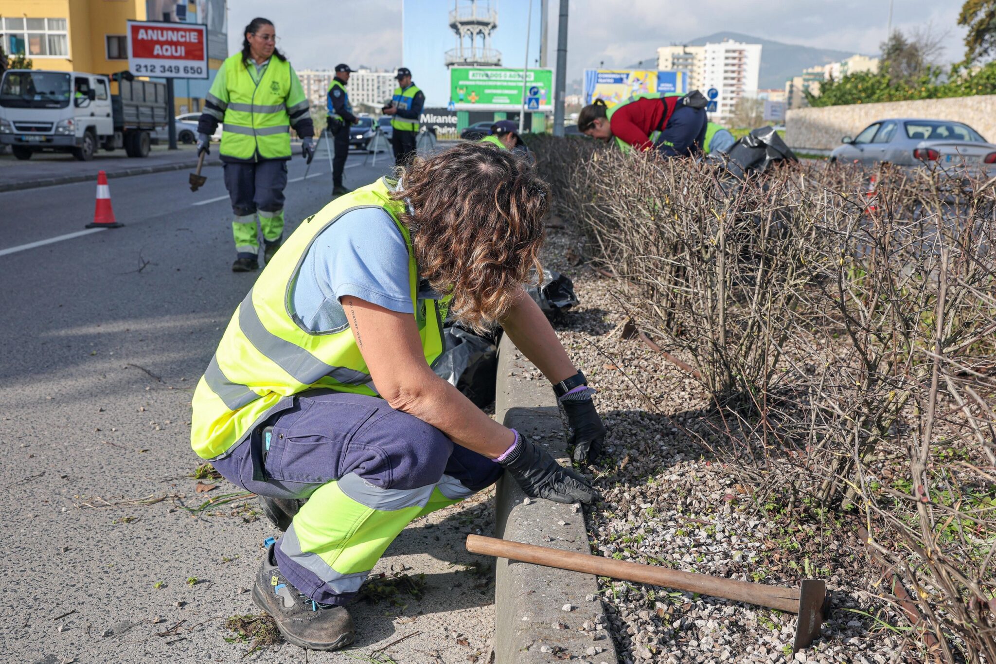 Poda de arbustos e monda de infestantes na Avenida Antero de Quental