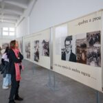 A exposição está patente no Cais 3 do Porto de Setúbal até 26 de abril