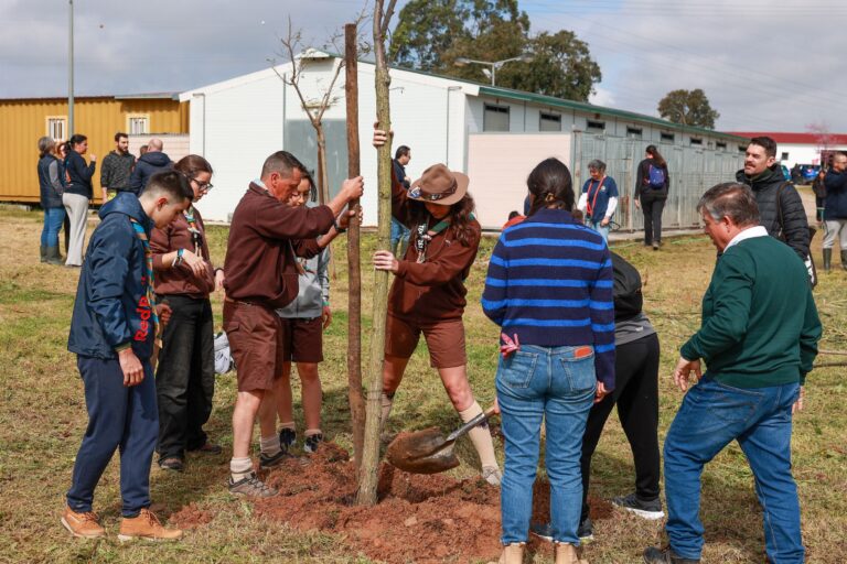 A iniciativa incluiu a plantação de árvores adultas e de exemplares jovens