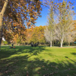 Jardim de Vanicelos