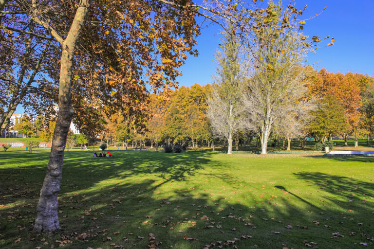 Jardim de Vanicelos