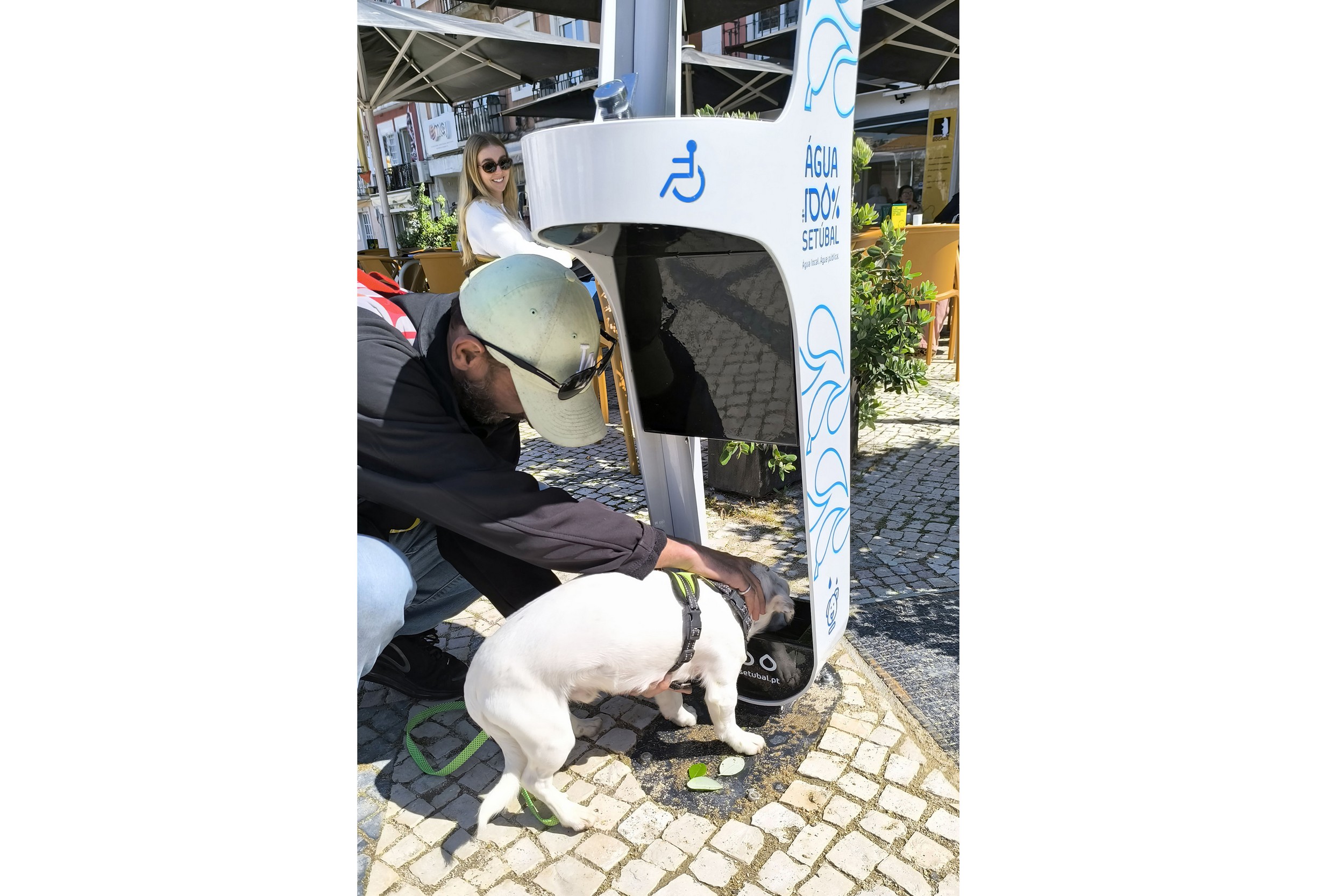 Os novos bebedouros contemplam uma área para cães e gatos