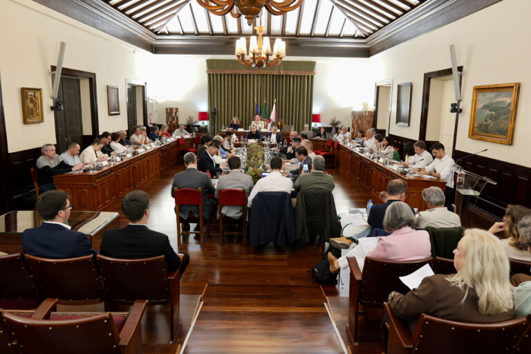 A Assembleia Intermunicipal é composta por 54 autarcas e presidida pelo presidente da Assembleia Municipal de Setúbal, Paulo Lopes