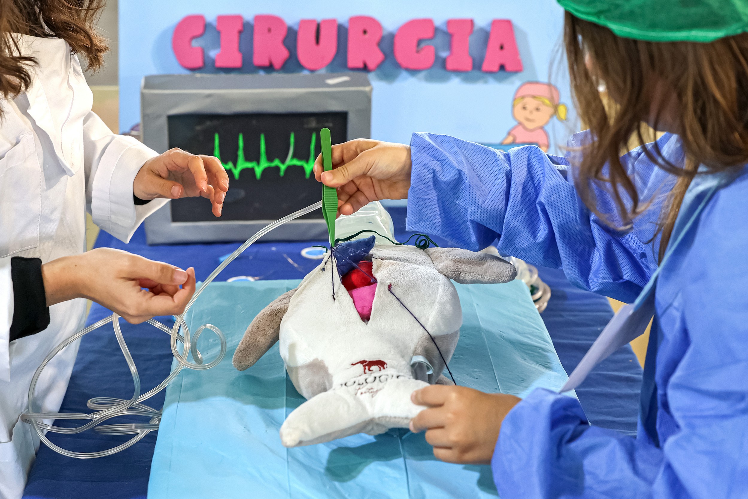 Após uma primeira observação, os “pacientes” passaram pela triagem e seguiram para diferentes valências, como patologia clínica, dentária e cirurgia