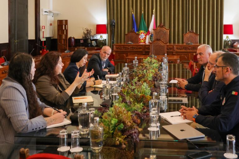 Estiveram presentes por parte da Área Metropolitana de Lisboa a secretária metropolitana, Cristina Escórcio, e o chefe de Divisão de Ordenamento do Território, Ambiente e Urbanismo, João Lopes, enquanto o Fórum Europeu de Segurança Urbana fez-se representar pela diretora executiva adjunta, Carla Napolano, e pela coordenadora de Eventos e Filiação, Laeticia Robin