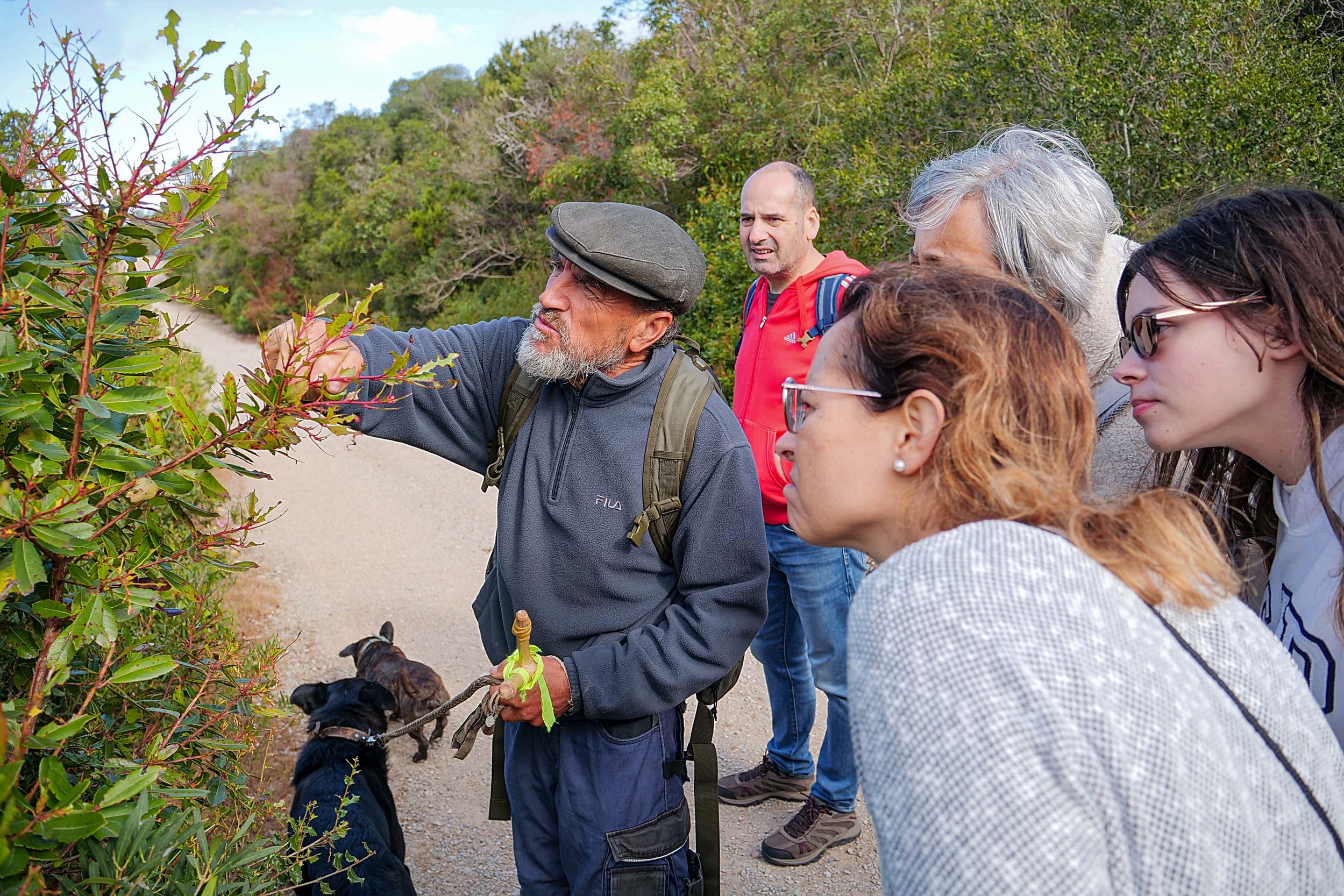 Os passeios guiados representaram vários momentos para se descobrirem alguns dos segredos da serra