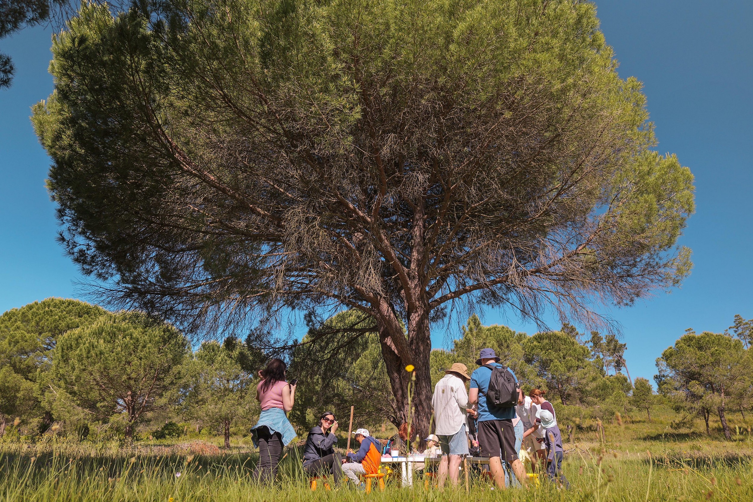 A Festa de Caminhadas na Arrábida, agora na terceira edição, continua a proporcionar momentos únicos