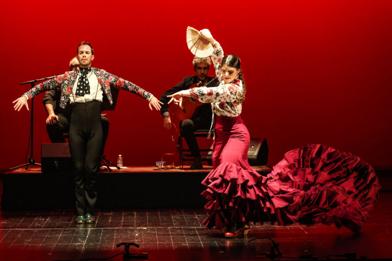 Espetáculo “Flamenco Passion”