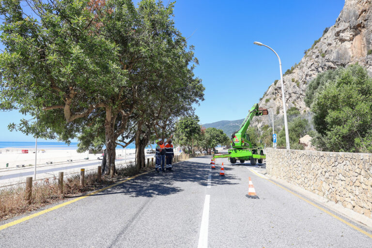 Limpeza de taludes das redes dinâmicas na Praia da Figueirinha