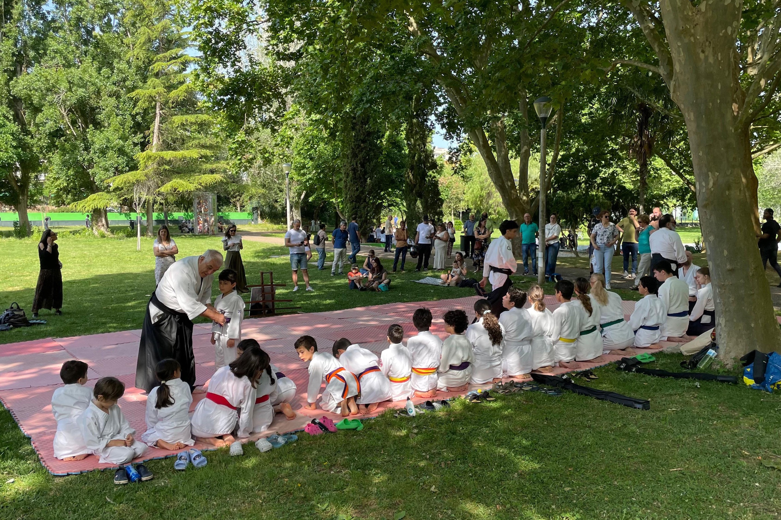 “. De Partida” - “Desportos no Jardim”, em Vanicelos - Aikido