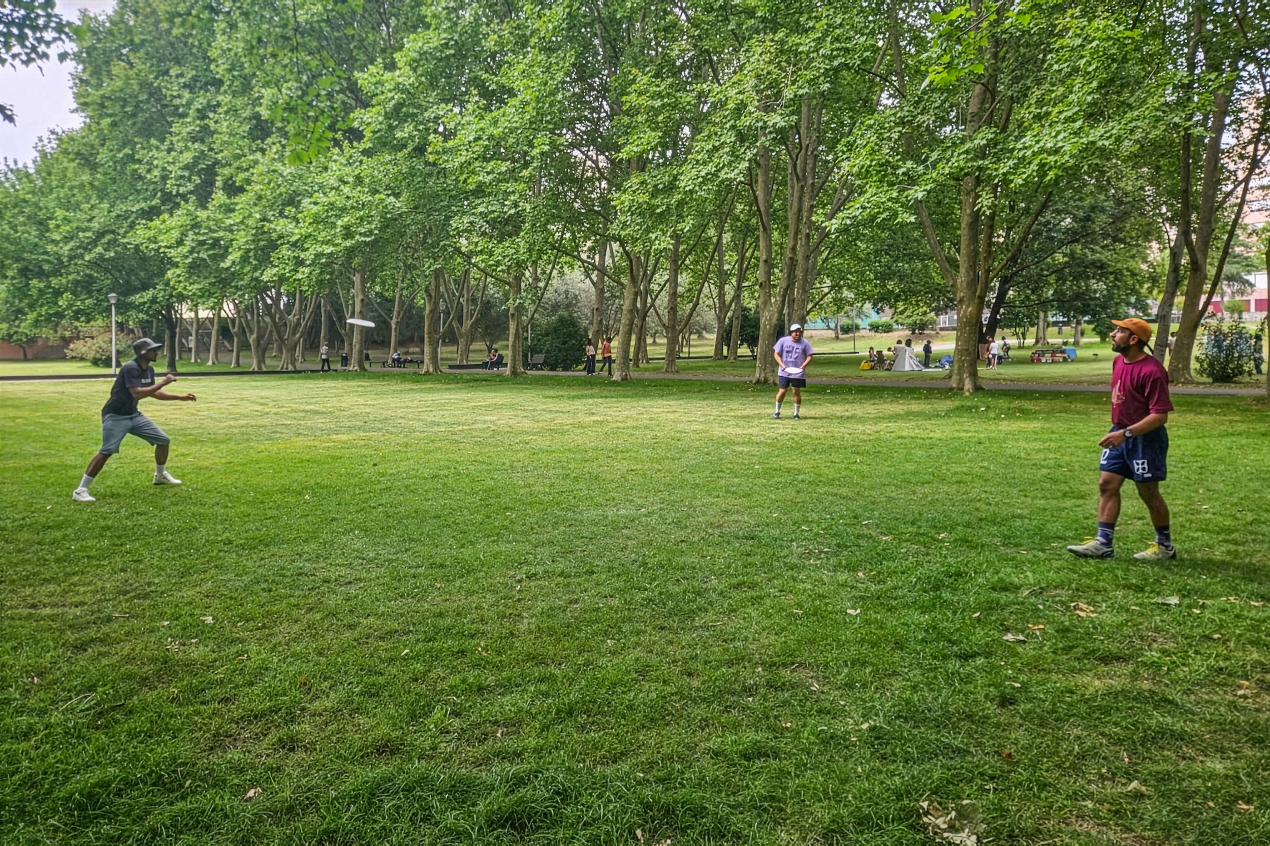 “. De Partida” - “Desportos no Jardim”, em Vanicelos - Frisbee