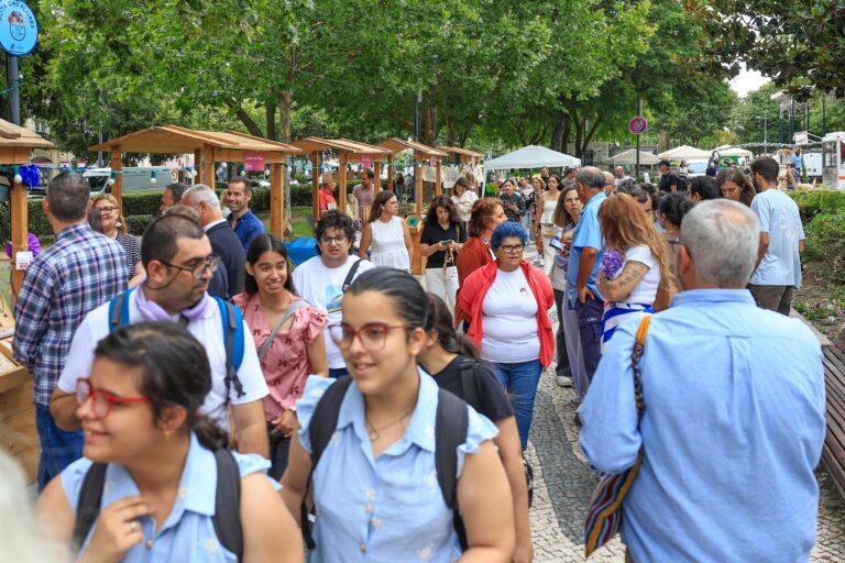 A Festa da Flor decorre ao longo de quatro dias na Avenida Luísa Todi, junto do coreto